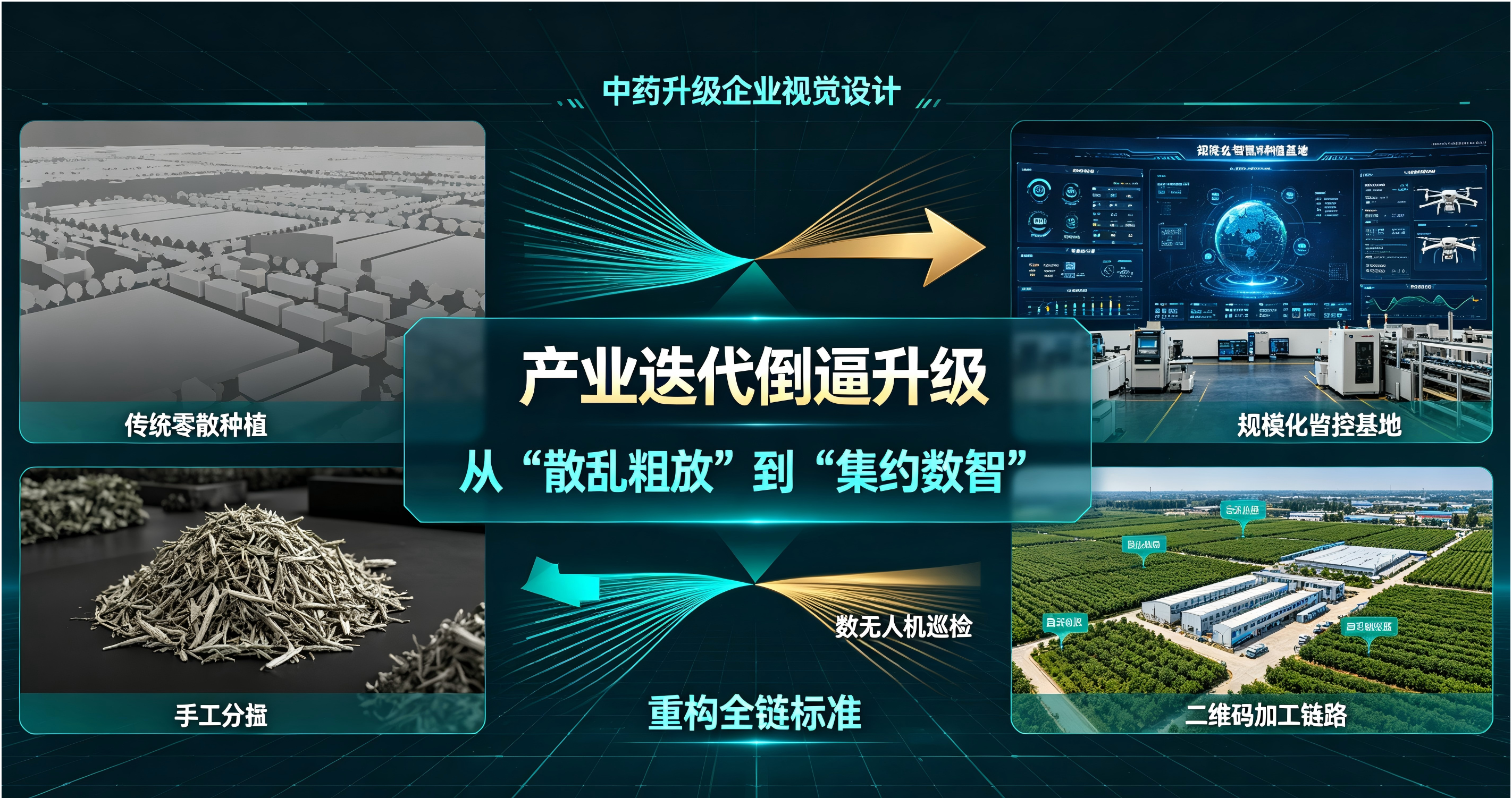 中药机会-2.png